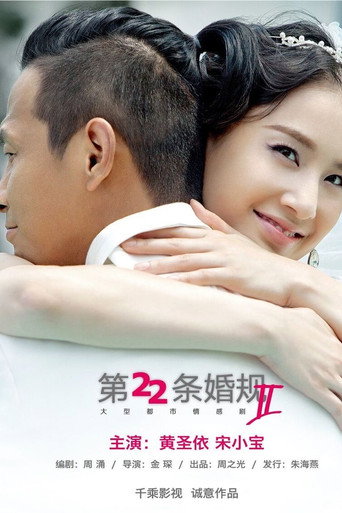 第22条婚规2海报