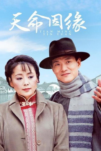 天命因缘海报