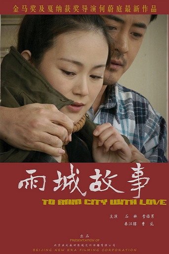 雨城故事海报