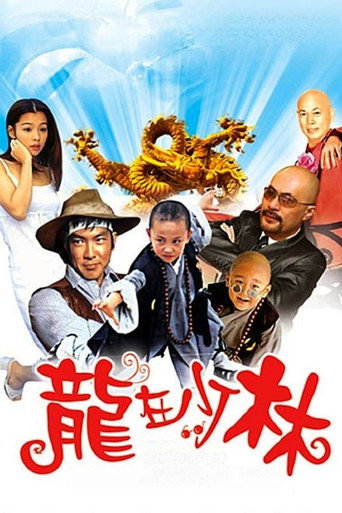 龙在少林海报