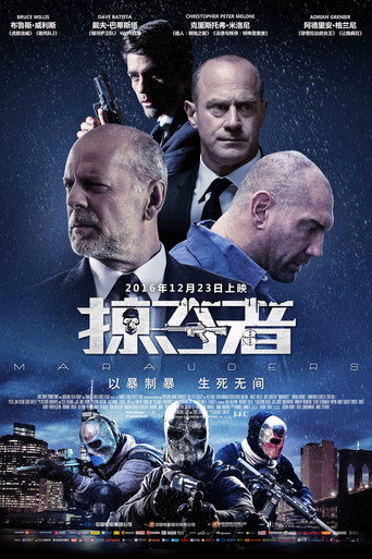 掠夺者海报