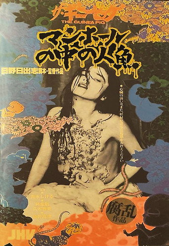 豚鼠5：下水道的美人鱼海报