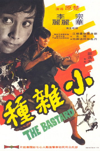 小杂种海报