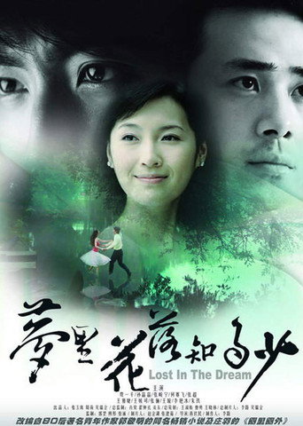 梦里花落知多少海报