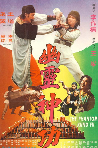 幽灵神功海报