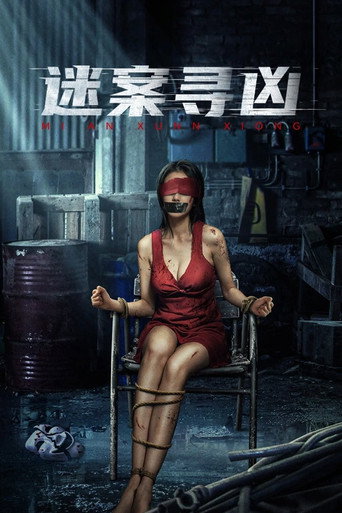 迷案寻凶海报