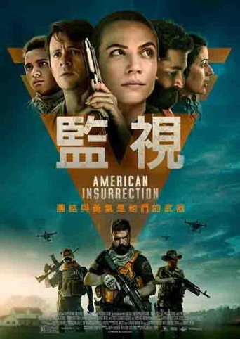 美国起义海报