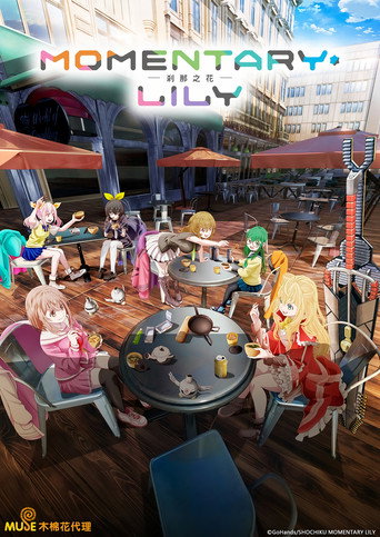 MOMENTARY LILY 刹那之花海报
