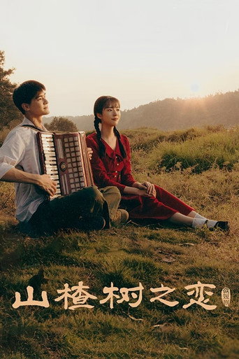 山楂树之恋海报