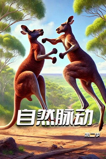自然脉动 Season 2海报