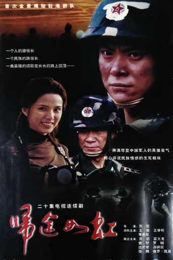 归途如虹海报