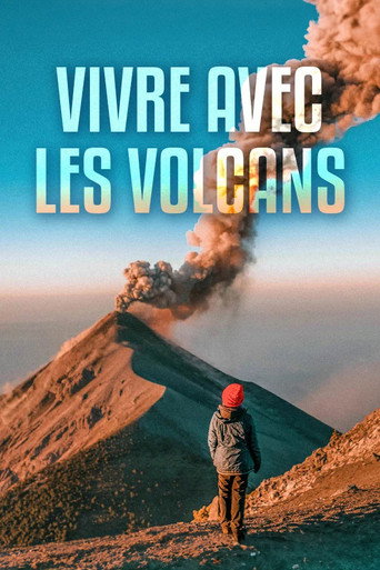 一起去爬火山吗海报