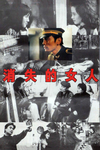 消失的女人海报