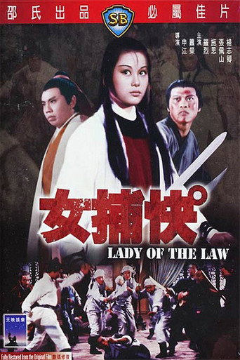 女捕快海报