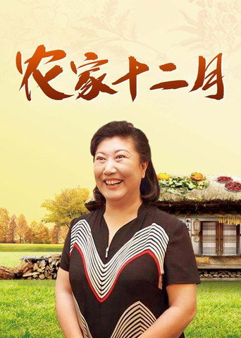农家十二月海报