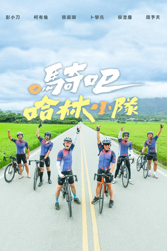 骑吧！哈林小队海报