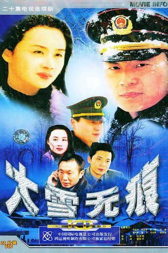 大雪无痕海报