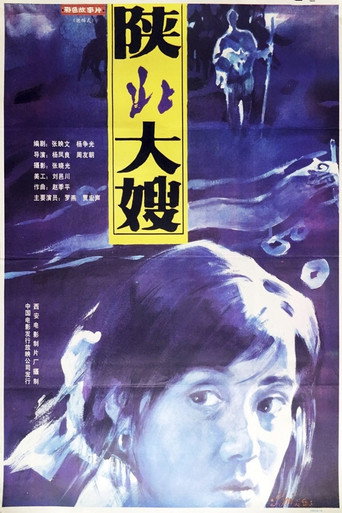 陕北大嫂海报