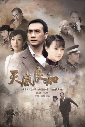 天底良知海报