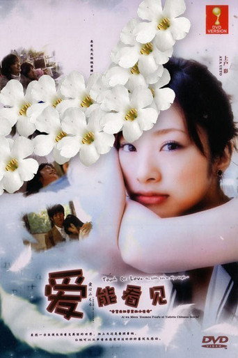 爱能看见：全盲夫妇孕育的小小生命海报