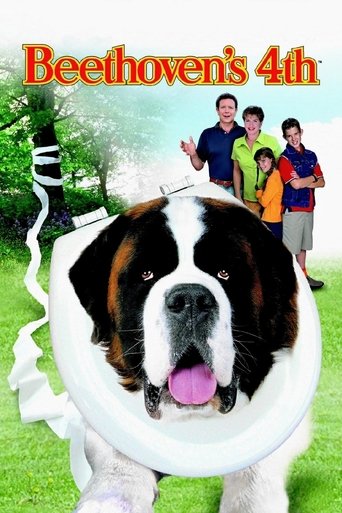 无敌当家4海报