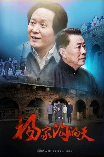 杨家沟的天海报