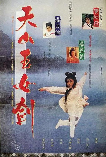天山玉女剑海报