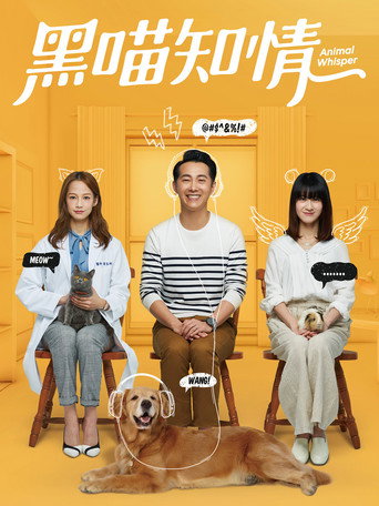 黑喵知情海报