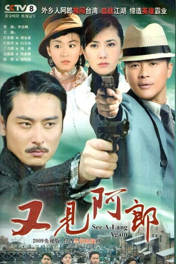 又见阿郎海报