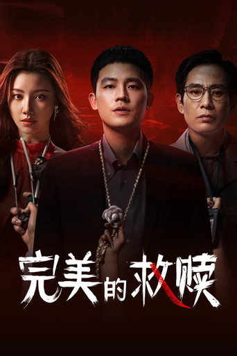完美的救赎海报