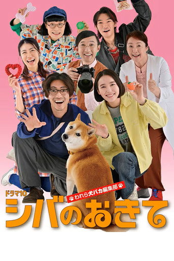 柴犬的规矩～我们这群狗痴编辑部～海报