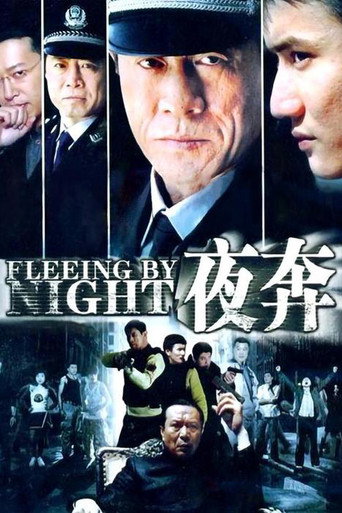 夜奔海报