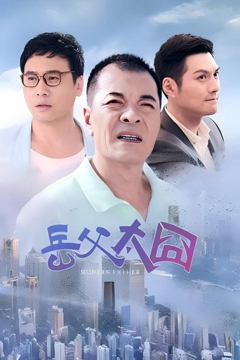 摩登岳父海报