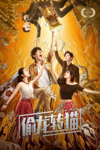偷龙转猫海报
