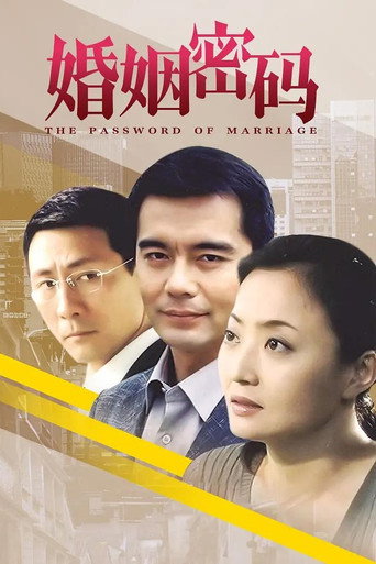 婚姻密码海报