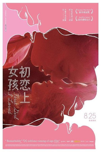 我的初恋女孩海报