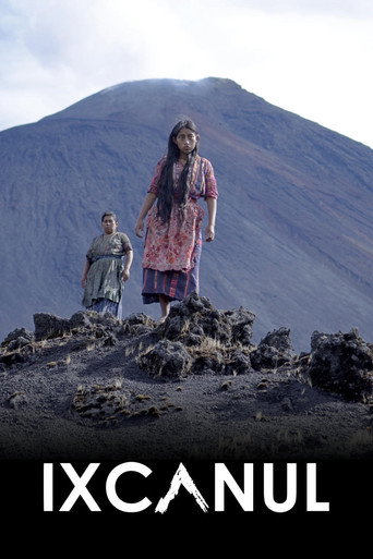 火山下的人生海报