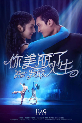 你美丽了我的人生海报