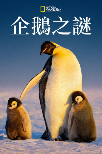 企鹅的秘密海报
