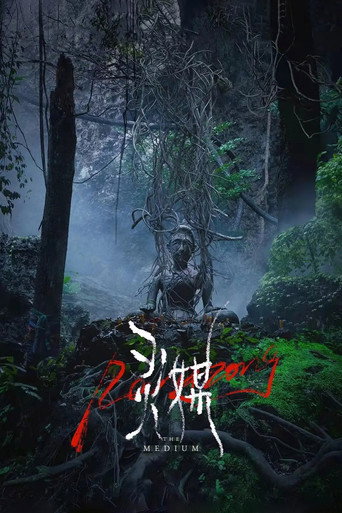 灵媒海报