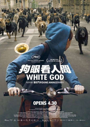 白色上帝海报