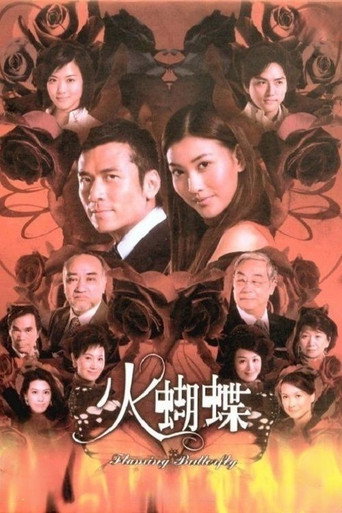 火蝴蝶海报