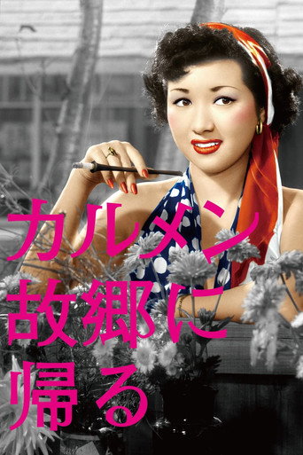 卡门归乡海报