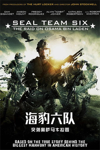 海豹六队：突袭奥萨马本拉登海报