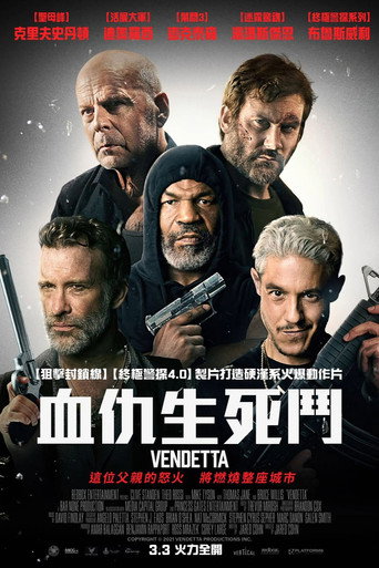 仇杀海报