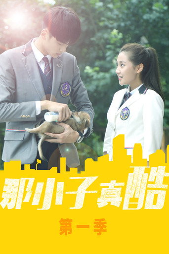 那小子真酷 第 1 季海报