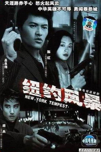 纽约风暴海报