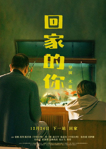 回家的你海报