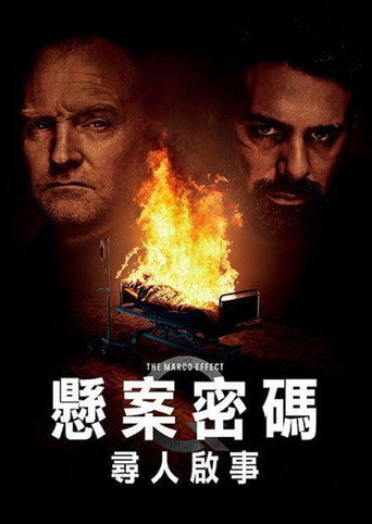 悬案密码5：马可效应海报