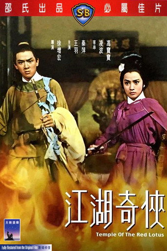 江湖奇侠海报